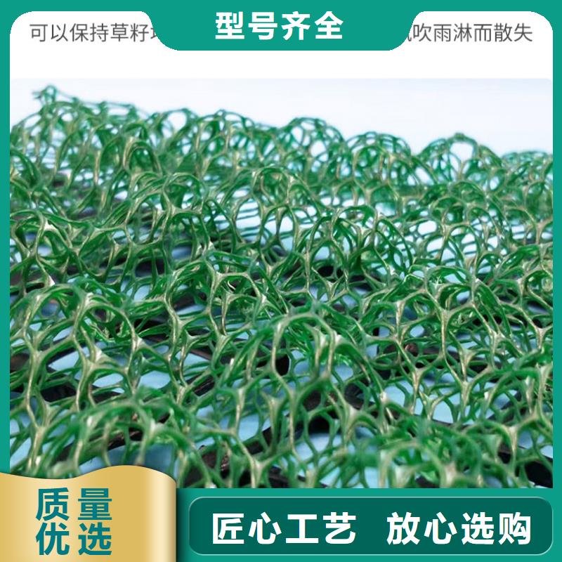 20212021潍坊固土绿化三维植被网价格-多少钱一平