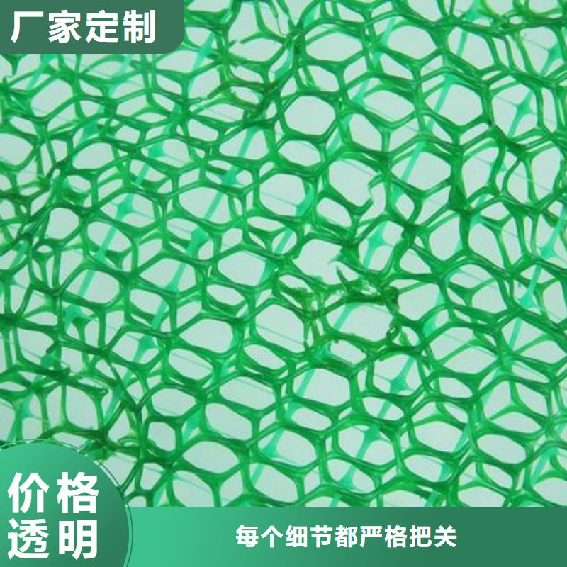 邵阳护坡三维网厂家三维植被网垫价格生产厂家