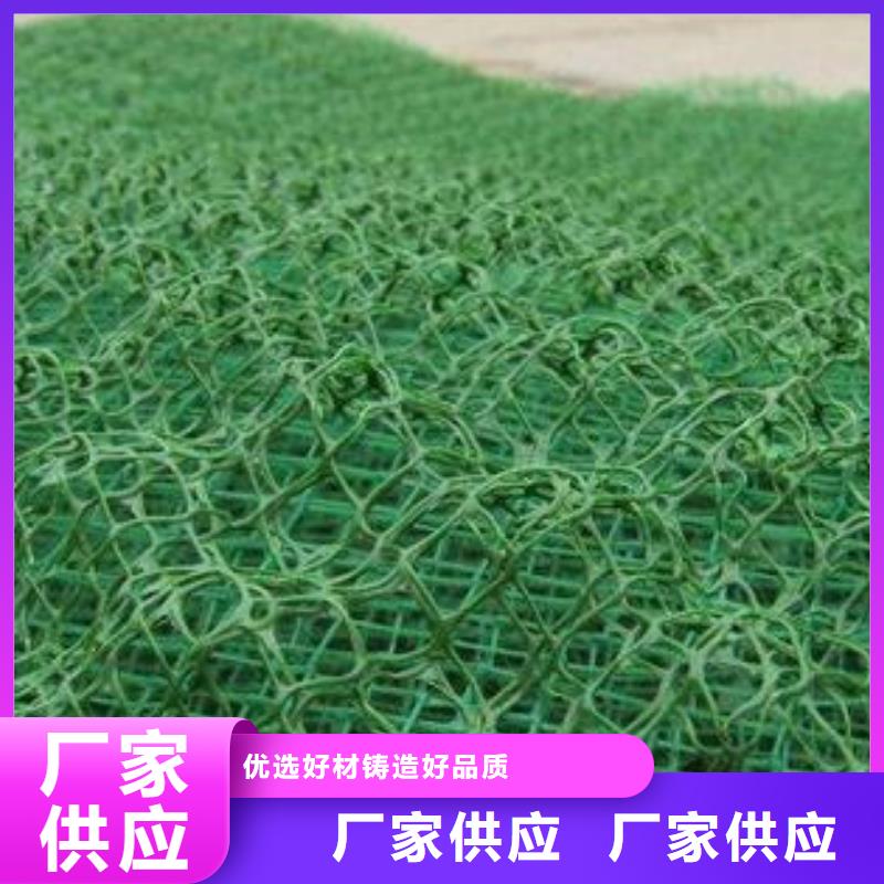护坡三维网厂家绿化植草网价格生产厂家出厂严格质检