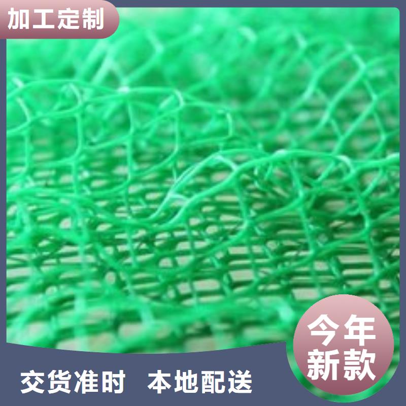 三维植被网厂家-为什么坡面要用三维植被网？三维植被网厂家工艺成熟