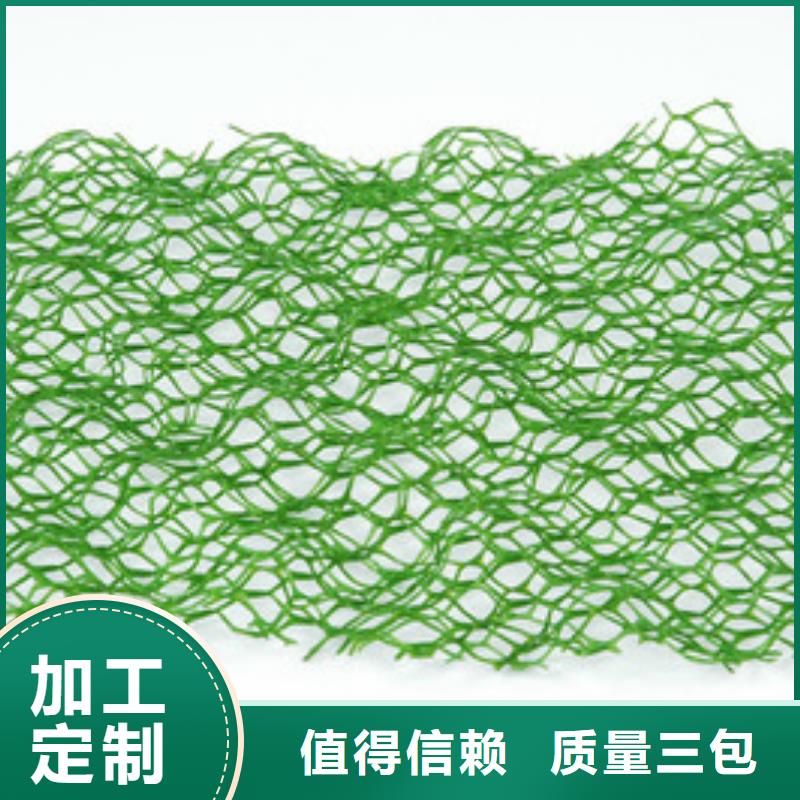 滁州三维植被网厂家土工网垫价格生产基地