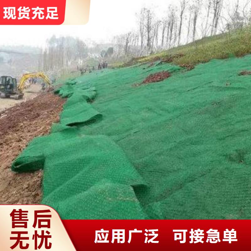 三维土工网垫厂家绿化植草网价格厂家直销拒绝差价