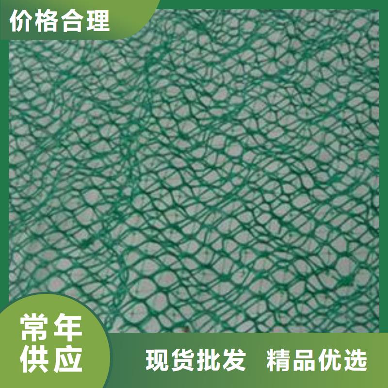 铜仁三维植被网厂家土工网垫价格生产基地