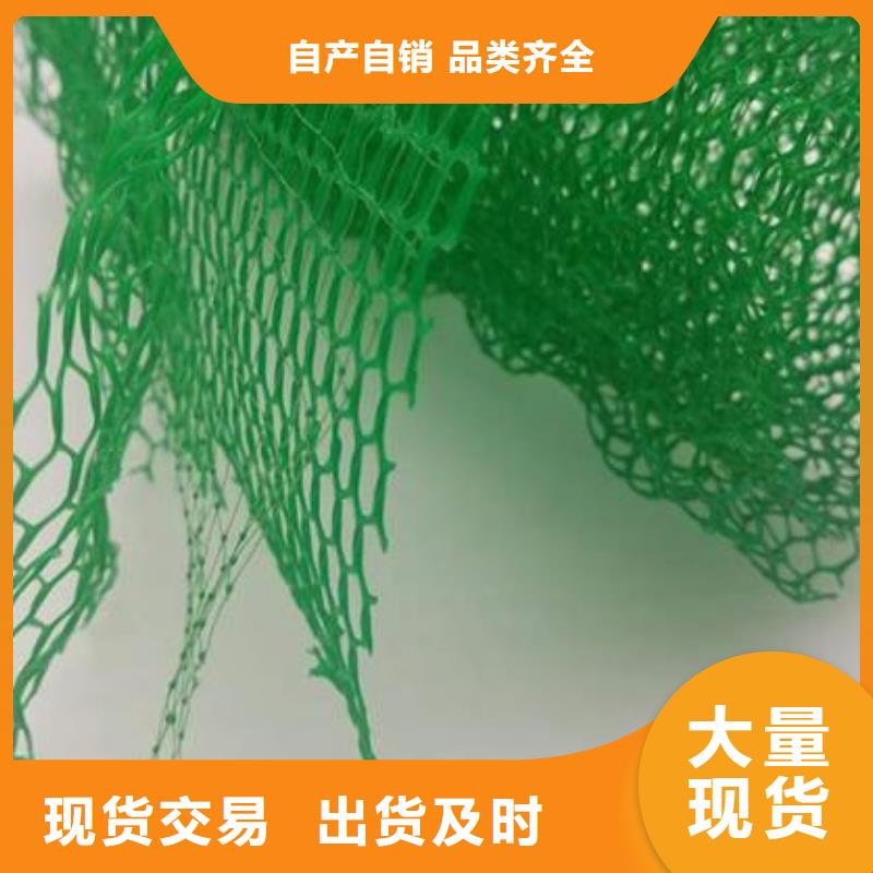 三维植被网厂家三维植被网垫价格厂家直销源厂定制