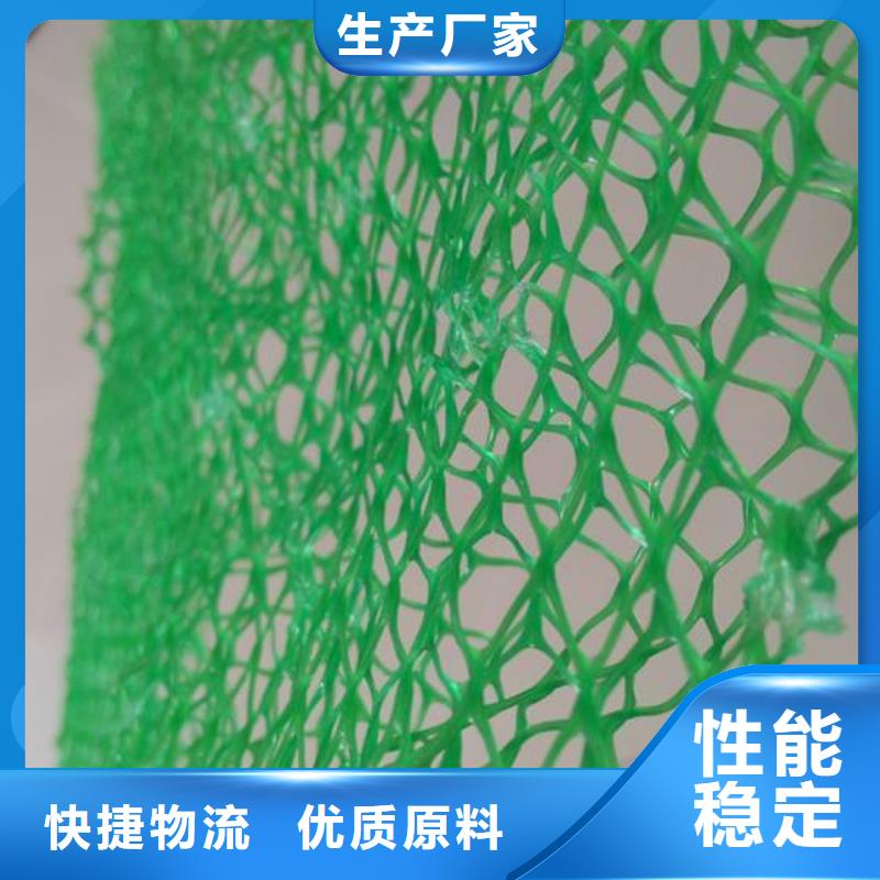 扬州各种规格、各种厚度的三维植被网