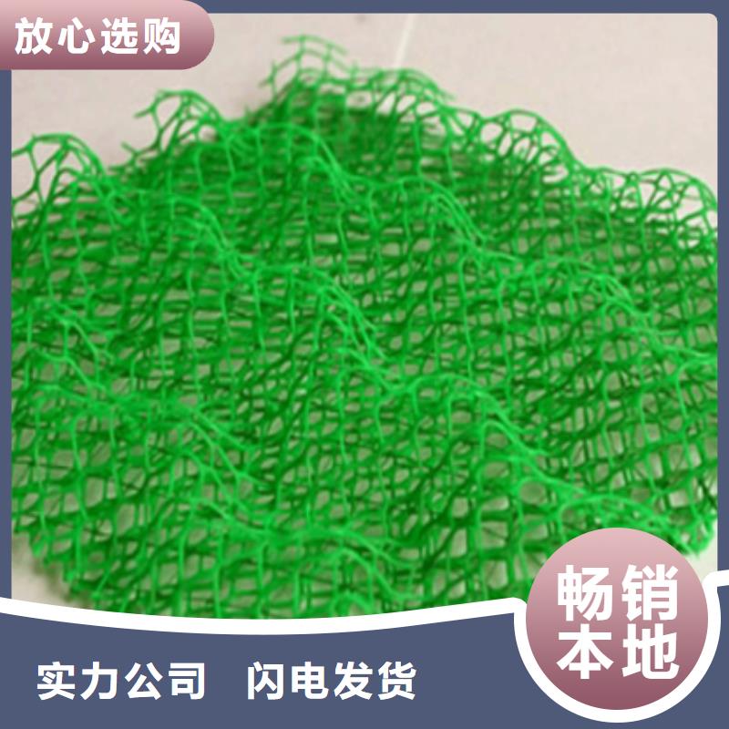 绿化用三维土工网垫三维植被网厂家直供价格优惠当地供应商