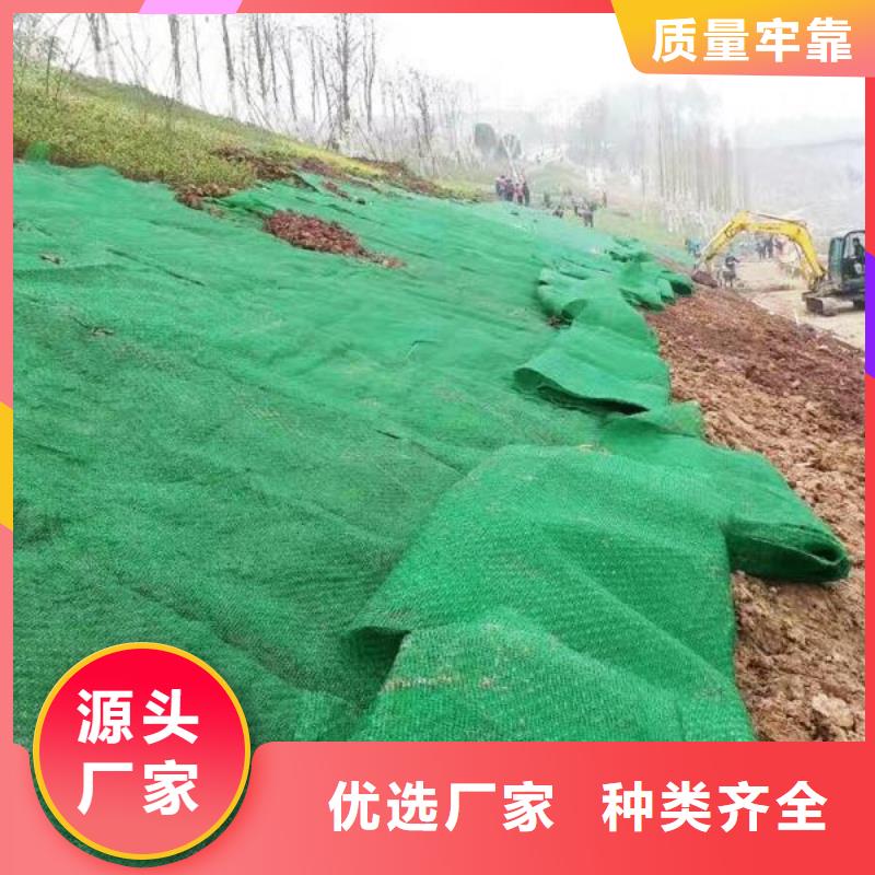 昌江县护坡植草三维网-三维植被网厂家走量批发同城货源