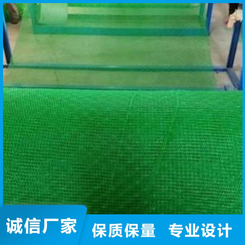 昌江县EM2三维植被网；三维土工网垫价格厂家现货供应