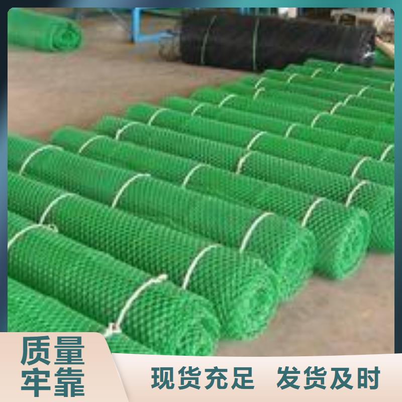 三维植被网-三维土工网垫厂家质量优价格低