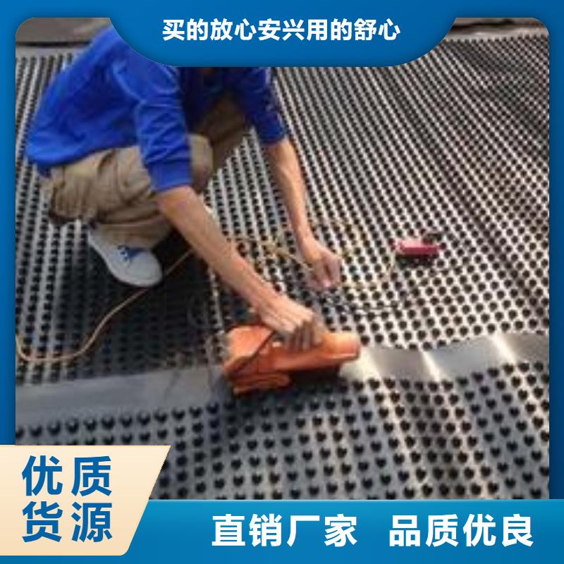 定安县塑料排水板疏水排水细节展示