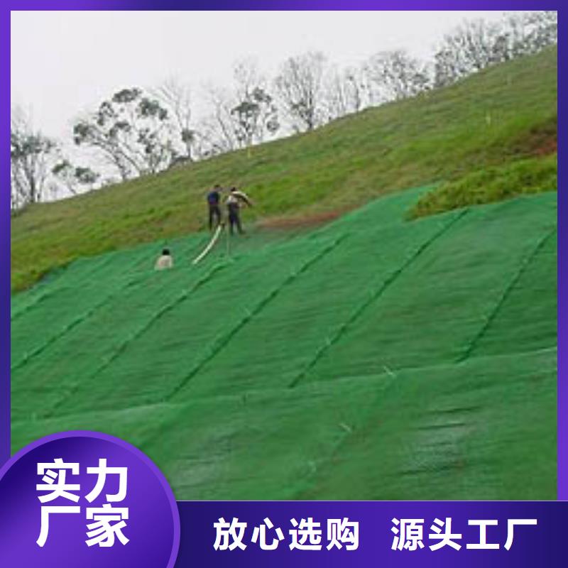 黑龙江三维植被网|三维网垫植草护坡|三维土工网垫厂家选山东亿路通