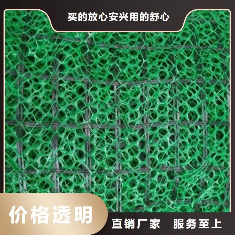 三维植被网|三维土工网垫【三维植被网厂家】当地经销商