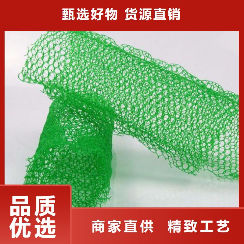 三维植被网|三维土工网垫【三维植被网厂家】技术先进
