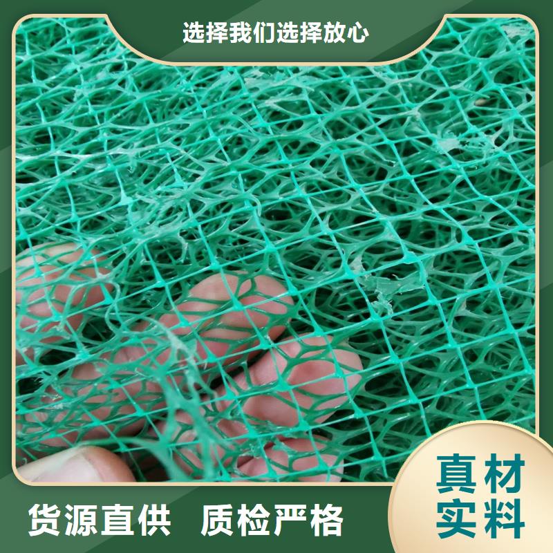 揭阳三维植被网|三维网垫植草护坡|三维土工网垫厂家选山东亿路通