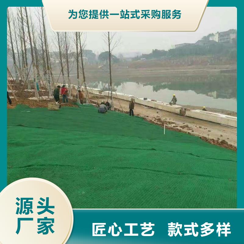 乐东县三维植被网施工图片-可定制生产