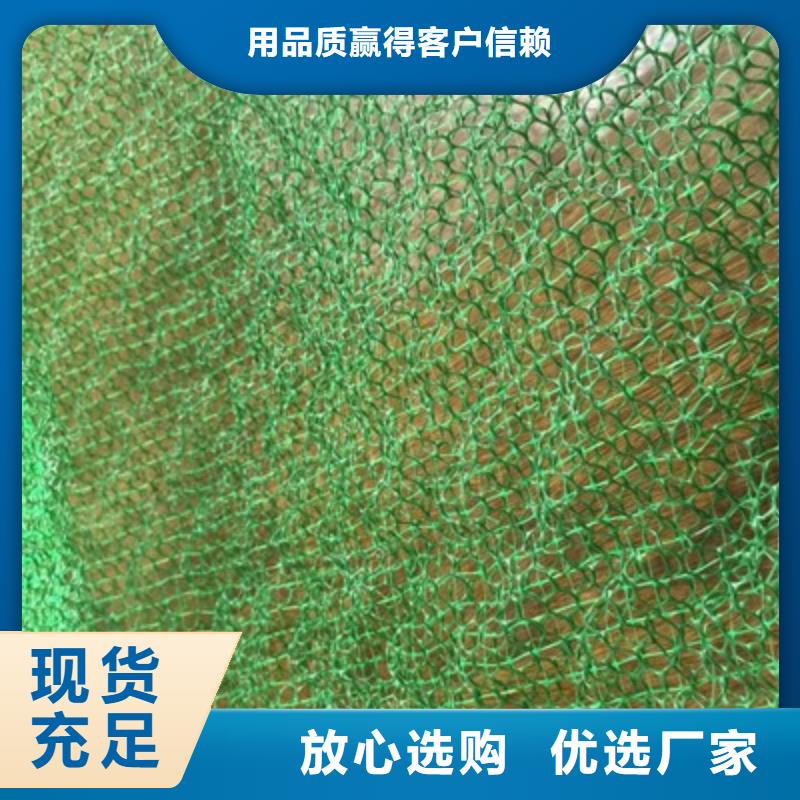 天水三维植被网|三维土工网垫【三维植被网厂家】