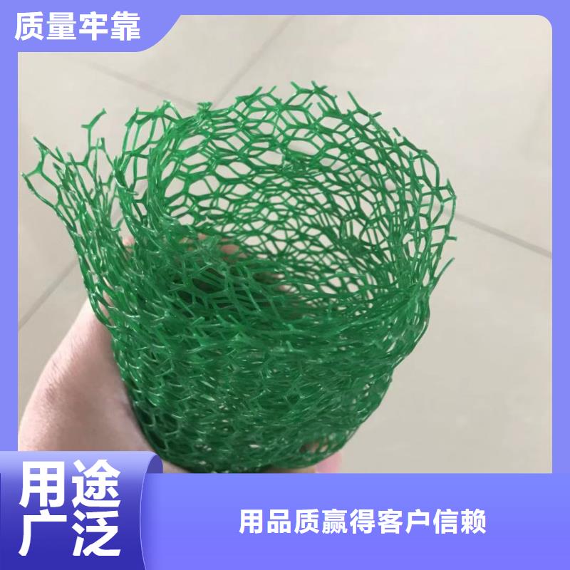惠州三维植被网|三维土工网垫【三维植被网厂家】