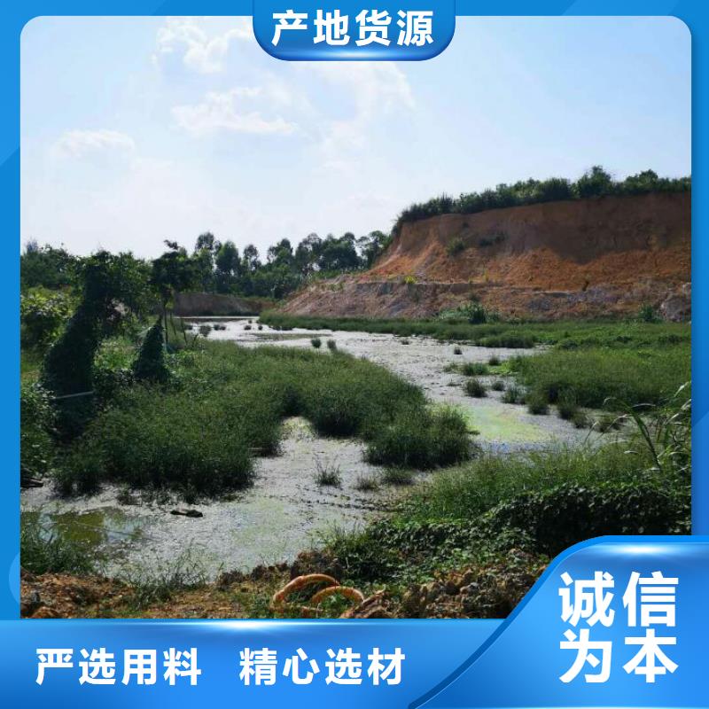 江苏污泥改性固化剂生态道路固化土价格当地供应商