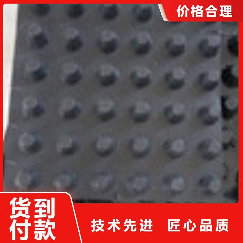 廉江RCP-X730D(A)渗排水网板高质量低价格真诚合作