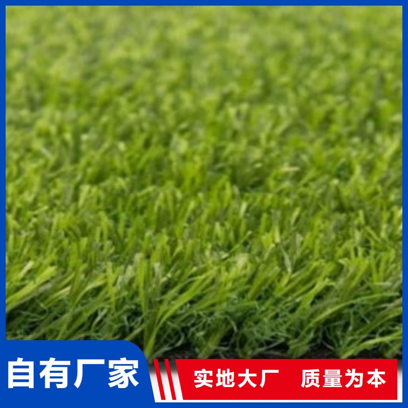 足球场人造草坪生产施工可定制