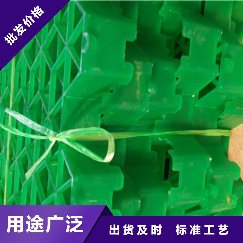 天津7公分塑料植草格哪家好？