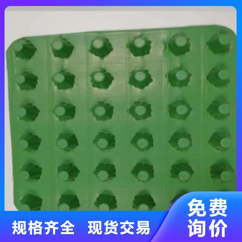 塑料排水板规格型号保障产品质量
