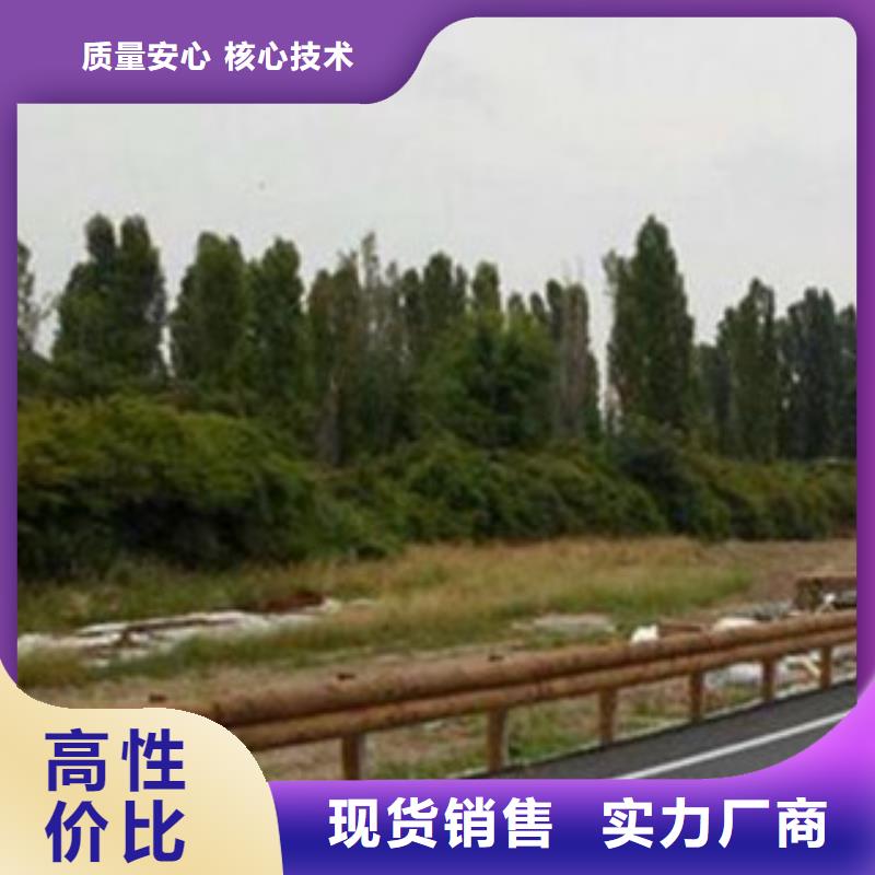 梅州钢背木护栏厂家桥梁护栏立柱优选企业