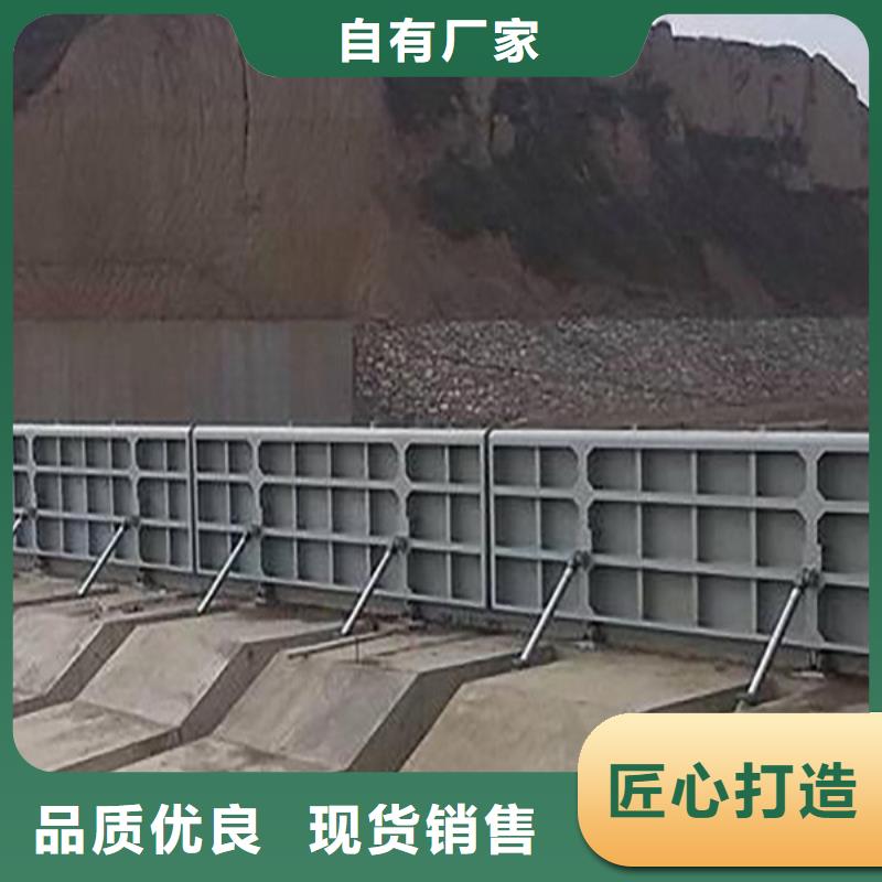 广东广州白云区雨水污水泵站闸门