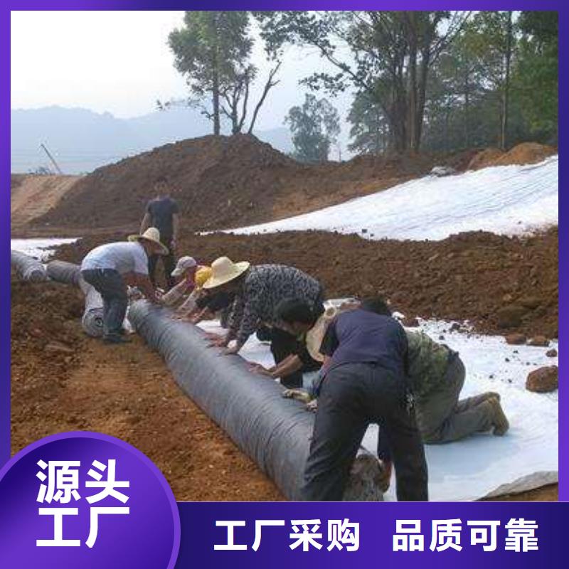 陵水县膨润土防水毯生产厂家