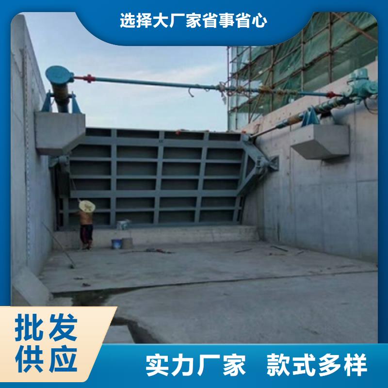 北京液压翻板钢坝不锈钢除污机共同合作！